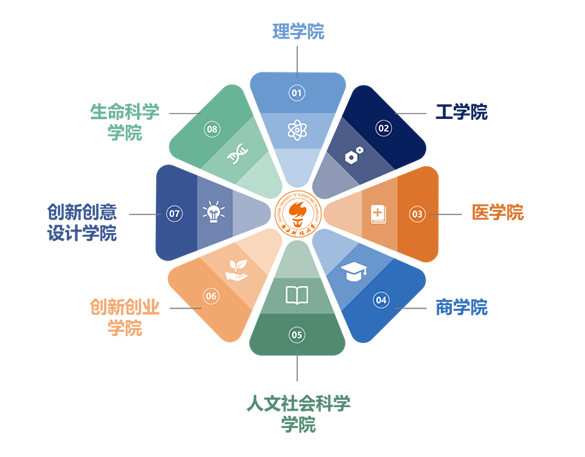 南科大院系设置.png